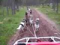 videos de summer training racing team