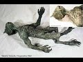 paranormal creatures scarry and really paranormal creatures scarry and really
