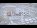 Pellegrini Meccanica Spa - The Stone Master