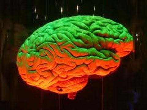 hazlitt - LibriVox recording of Thinking as a Science, by Henry Hazlitt. Read by Diana Robinette and Chiquito Crasto. Written in a conversational style that will appea...