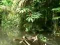 Parque Nacional Natural Los Katios