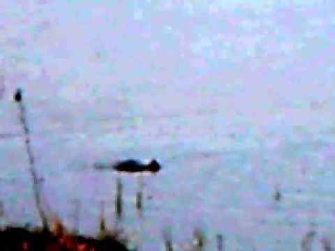 See video