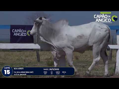 9 De Olho na Fazenda Capo do Angico