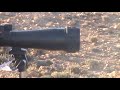 Celebration of International Day of Wetlands 2011: observation of migratory birds in the dams of Biskra (Algeria)