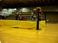 Massive Tsunami vs. O'Riley and Logan 2