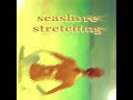 Yespiring House releases INHOUS06 with Various Artists on Seashore Stretching. Hope you'll fully enjoy the deejay friendly tracks with inspiring melodies and beach rhythms from Seashore, Avana, Loyalmen, Platona. See yespiring.com to discover all details now! 01 B118 Seashore - Reborn To Grow (Avana Lounge Chillout Mix) 9 02 B126 Loyalmen - Free To Choose (Platona Ambient Chillout Dub) 7:38