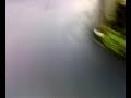 aerox edu cee despacito