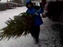Christmas Tree Knapper, Caught on Tape!