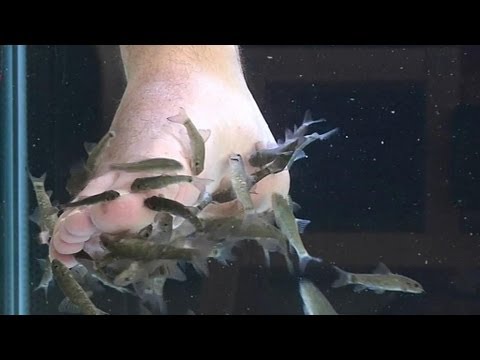 Image de prévisualisation YouTube