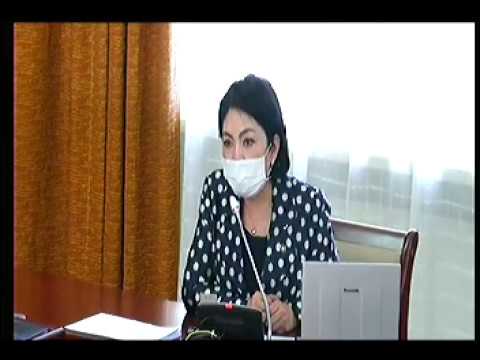 Ц.Цогзолмаа: Засгийн газрын шийдвэр анхан, дунд шатандаа хэрэгжихгүй байна