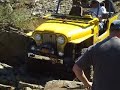 Predators Vs yellow jeep Predators Vs yellow jeep
