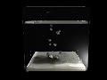 milk0001.avi milk0001.avi