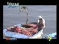 Vivere il Mare Channel - San Marco di Castellabate