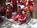 Young Monk Debating At Sera Monastery