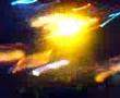 Planet-Love-Winter-P