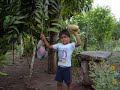 Autan Nayarit
