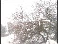Nieve en Curic�,la ciudad vestida de blanco