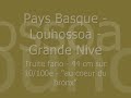Grosse truite fario du Pays Basque en pêche à la mouche