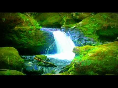 Imagen de previsualización de YouTube