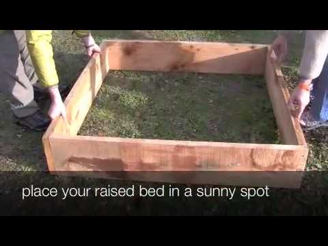 how to make a vegetable patch
