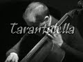 Tarantulella - Brigante Se More