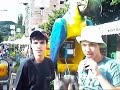 Cidade Destaque: S�o Louren�o
