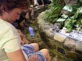 Korea Tour - Dr Fish Foot Spa (Bet)