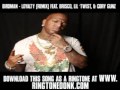 Birdman - Loyalty (Remix) Feat. Brisco Mack Maine & Cory Gunz [ New Video + Lyrics + Download ]