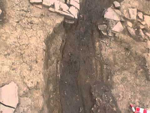 guarda il video