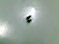 fly dance fly dance