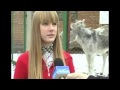 Video: Donkey Interrupts Interview