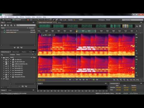 how to isolate vocals in adobe audition