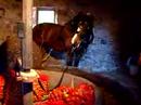 Traditional Cider Making Hamptonne Jersey Traditional Cider Making Hamptonne Jersey