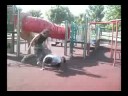 Coven Parkour/Fight scene