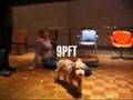 [title of show] Montage 1