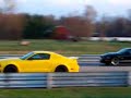 Roush Mustang vs Shelby Mustang