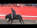 Banda La Surena con un toro bravo