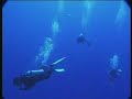 Oceania - Cook Islands - Cooking and Diving