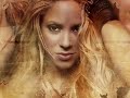 shakira rox !!! ultimate  fan video ever!!!