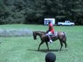 Happy Trails