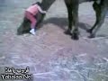 ����� ���� ��� ����� ��� ����