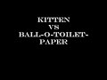 Kitten V.S. Toilet Paper