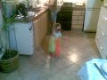 Quimi Bailando
