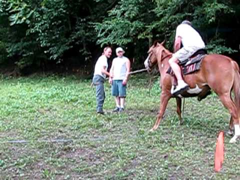 how to break a horse