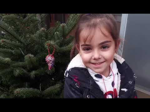 Imatge de previsualització de YouTube