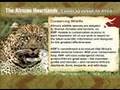 Campign To Save Africa's Heartlands