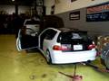 levis dyno pulls