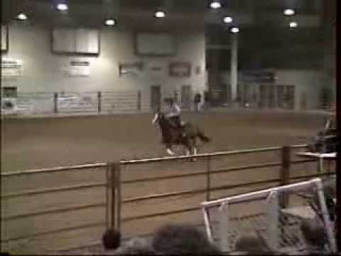 Morgan Horses at '06 NE Horse Expo - ...