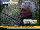 Охота на трюфели