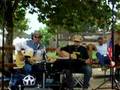 TEX-ROSES-COUNTRY-MU